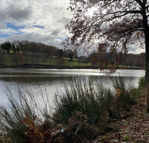 Paysage lac Néris-les-Bains