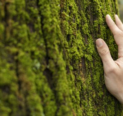 Nos engagements développement durable