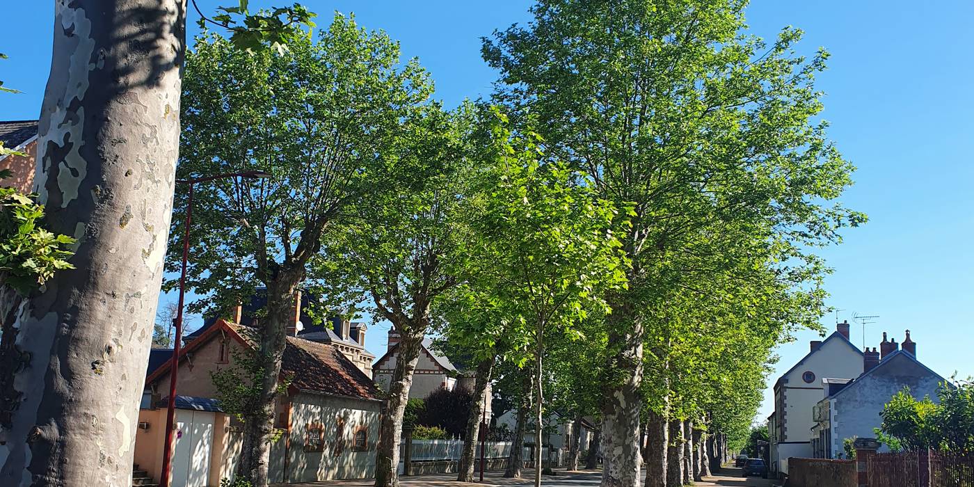 Les thermes de Néris-les-Bains