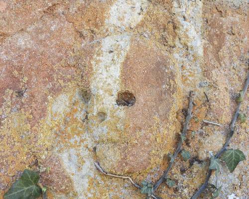 Saint-Bonnet-de-Four (03) - Visage dans la pierre