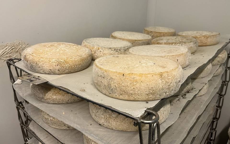 Fabrication du fromage Le Bézenet
