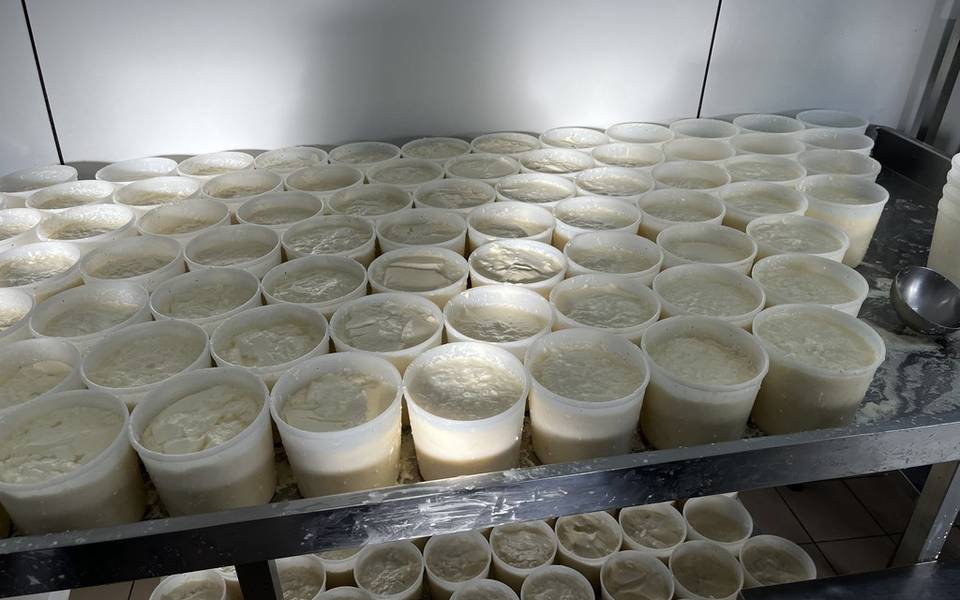 Fabrication du fromage Le Bézenet
