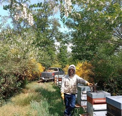 Olivier Gilbert Apiculteur