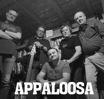 Concert du groupe Appaloosa
