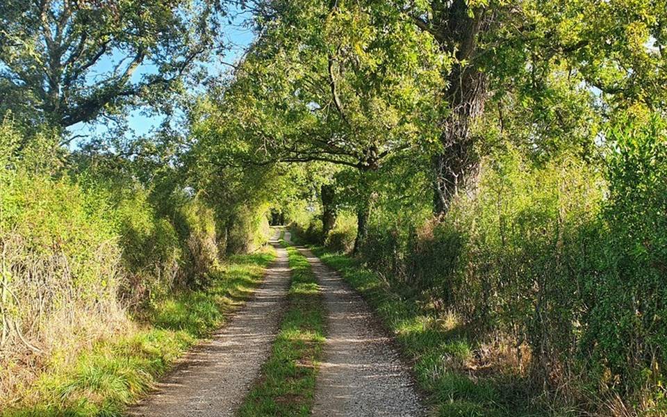 Chemin de campagne, Malicorne