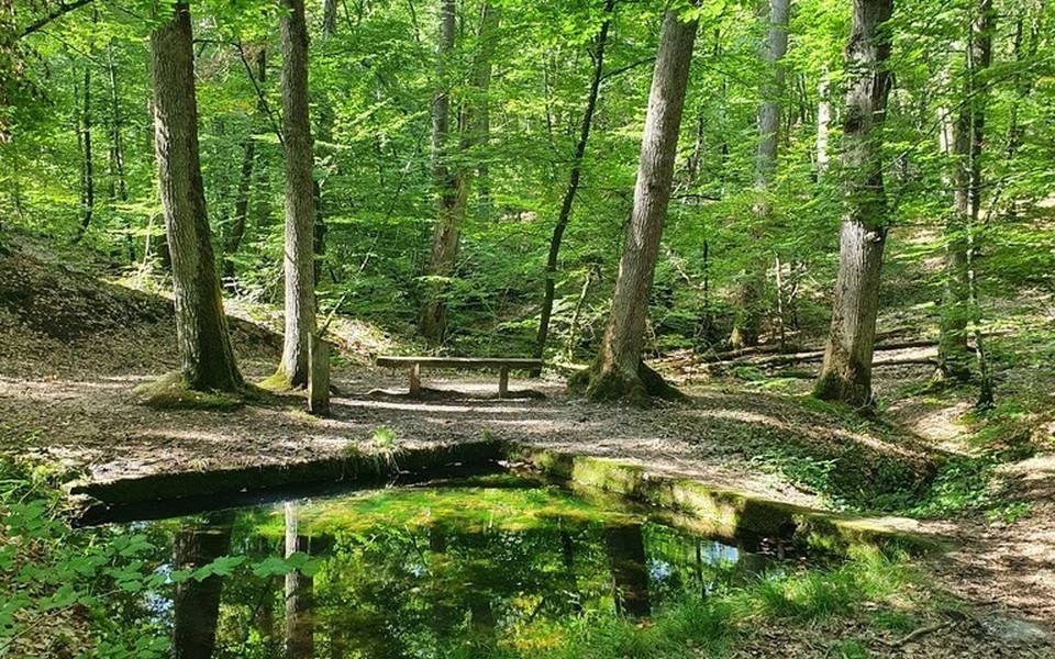 Font Gargot, Forêt Domaniale de Dreuille