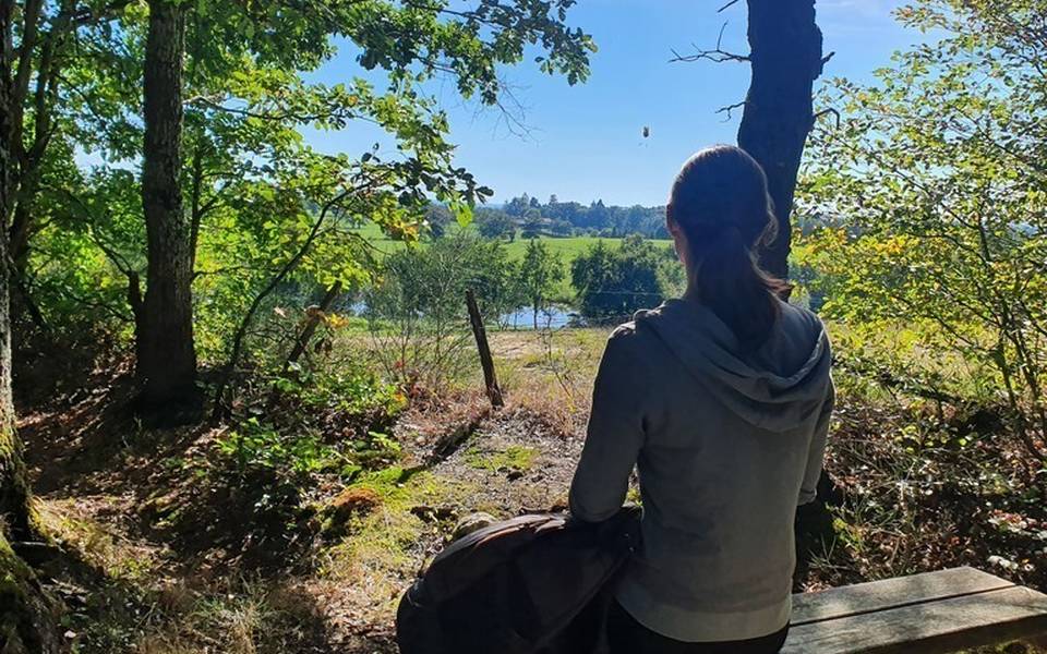 Forêt domaniale de Dreuille