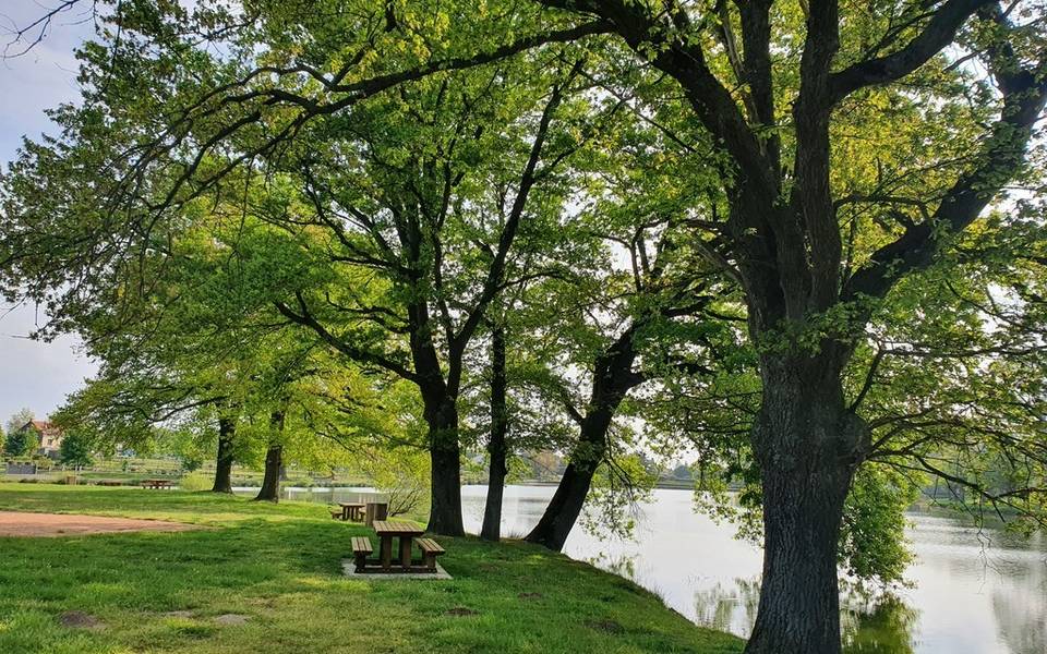 Etang de la Planche, Doyet