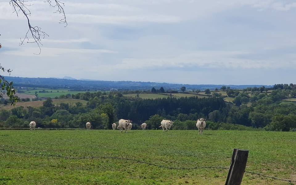 Vue sur le bocage bourbonnais