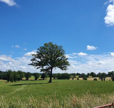 PR14 : Sentier des Montais