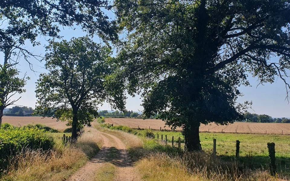 Chemin de campagne, Chamblet