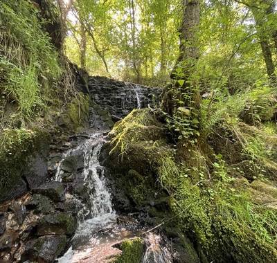 PR32 : Sentier du Ris Voirat