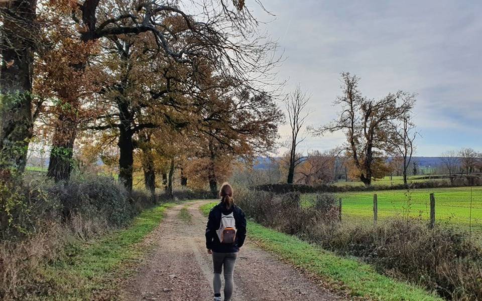 Sur les chemins de campagne