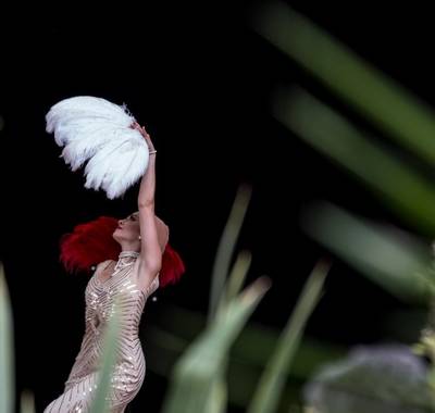 New York Paris "la comédie musicale de Dann"