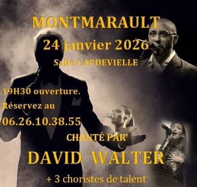 Sardou chanté par David Walter