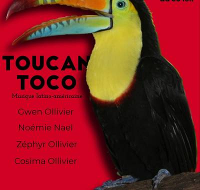 Concert Toucan Coco