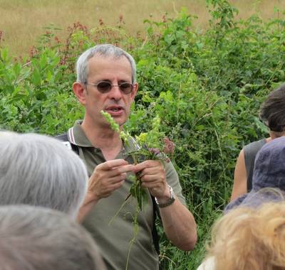 Balade de l'apothicaire