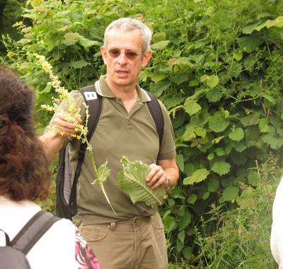 Balade de l'apothicaire