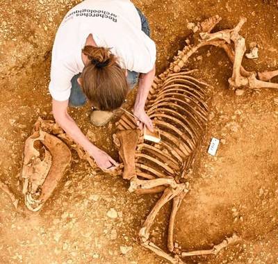 Conférence : L'histoire de l'archéologie