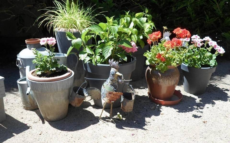Gîte dans l'allier en Auvergne