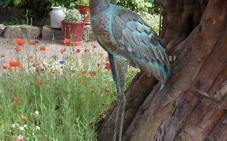 Gîte dans l'allier en Auvergne