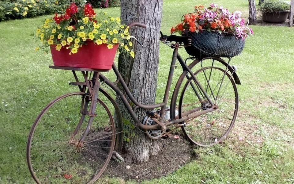 Gîte dans l'allier en Auvergne
