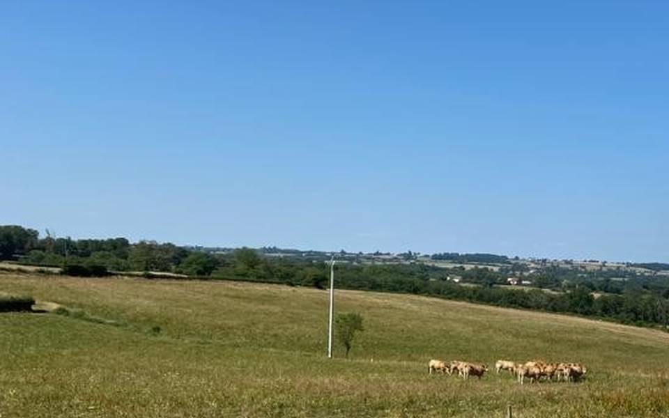 Gite du domaine de Chaux à MAZIRAT dans l'Allier en Auvergne